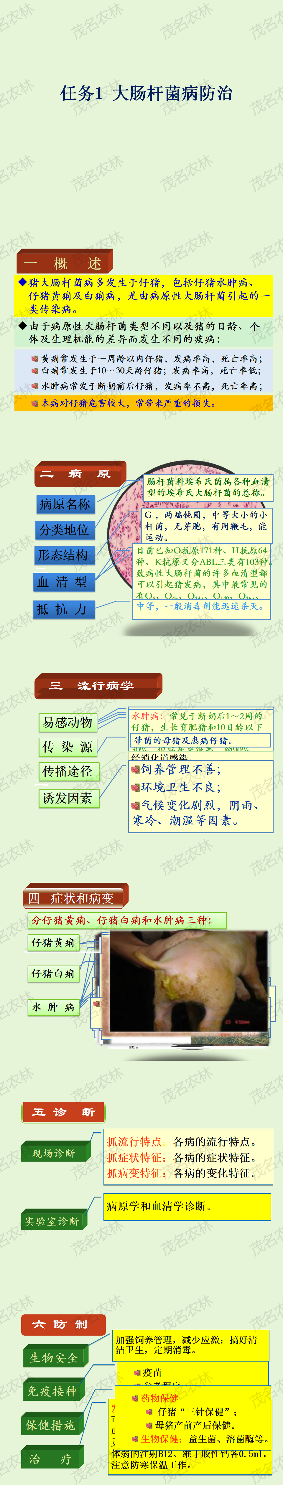 任务1 大肠杆菌病防治.png