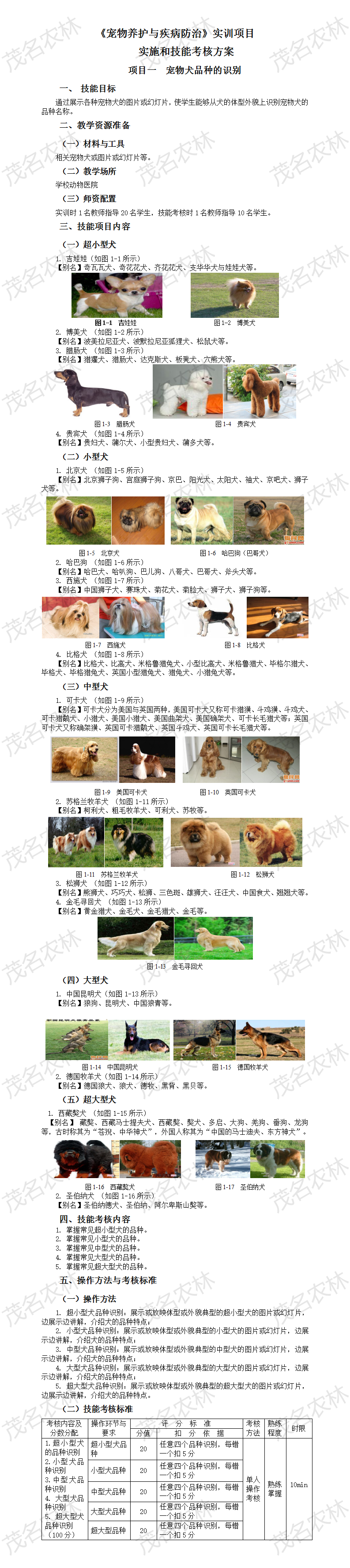 实训1 宠物犬品种的识别.png