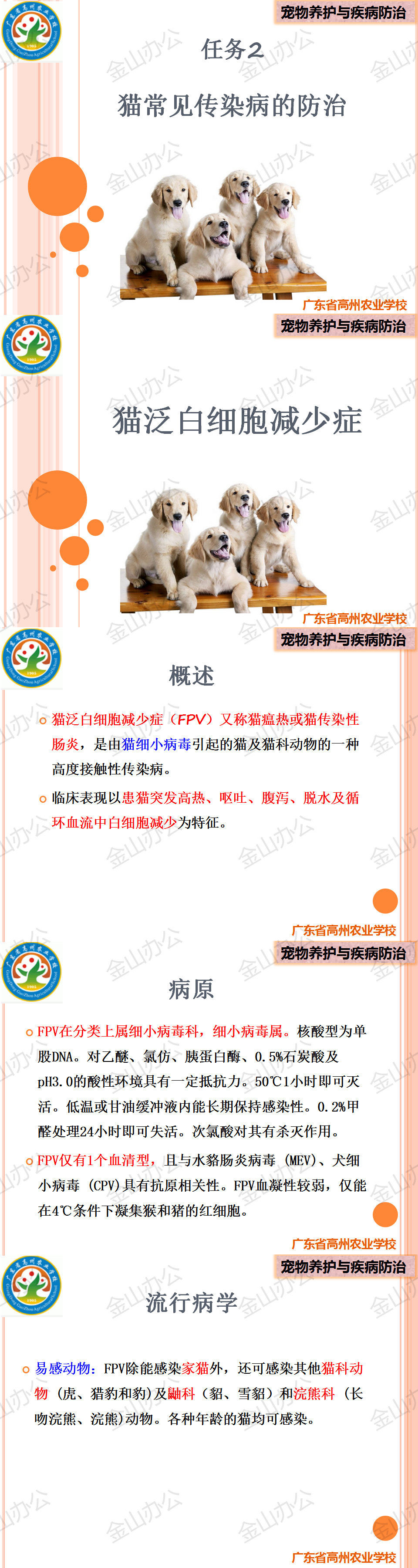 1 猫泛白细胞减少症.png