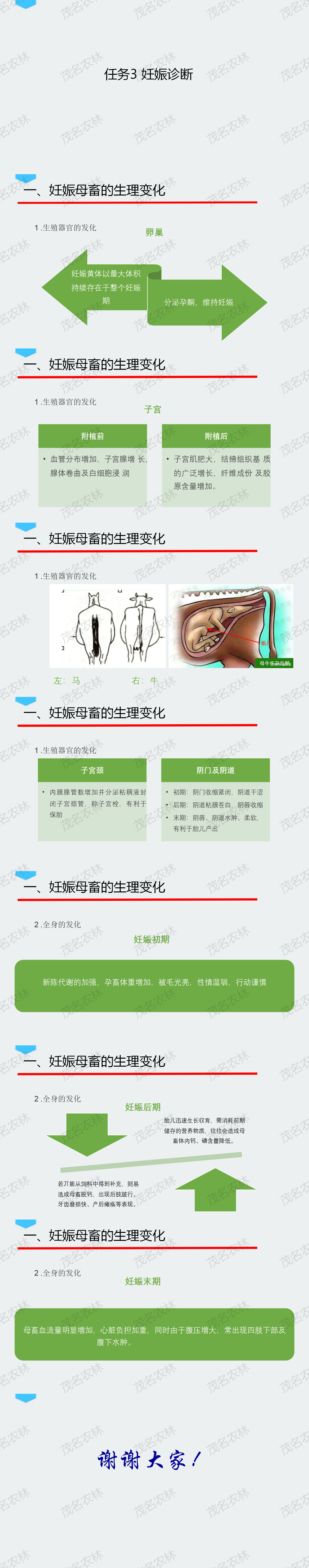 35.妊娠母畜的生理变化.png