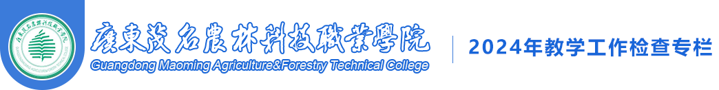 2024年教学工作检查专栏